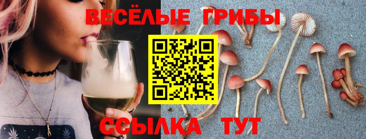 Псилоцибиновые грибы прущие грибы Аксай
